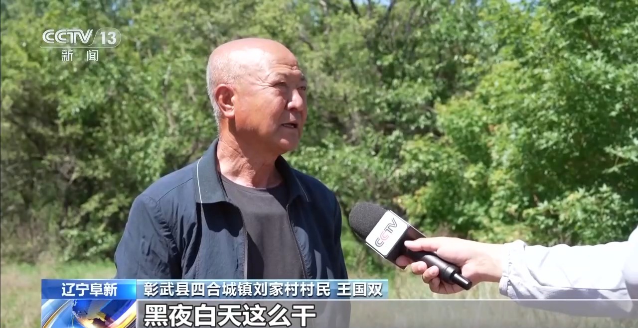 UFC下注平台