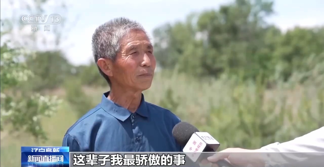 UFC下注平台