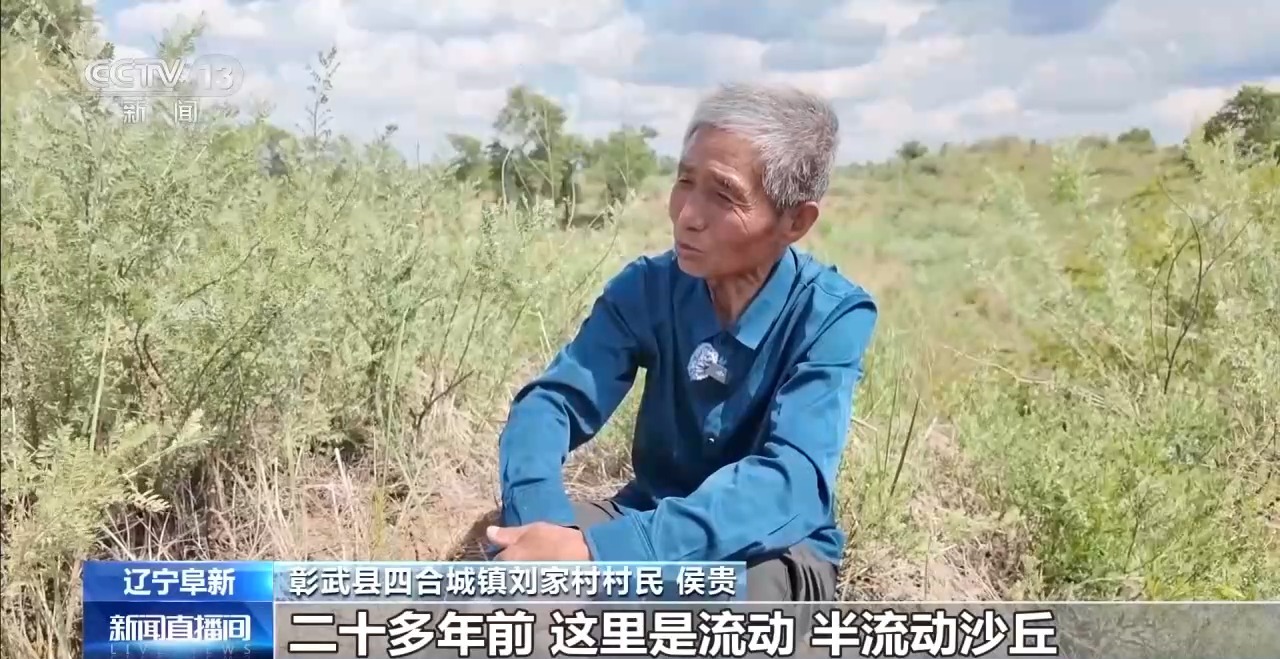 UFC下注平台