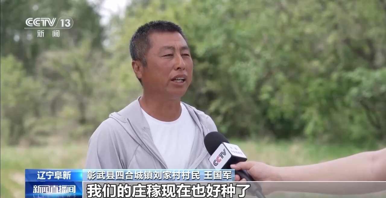 UFC下注平台