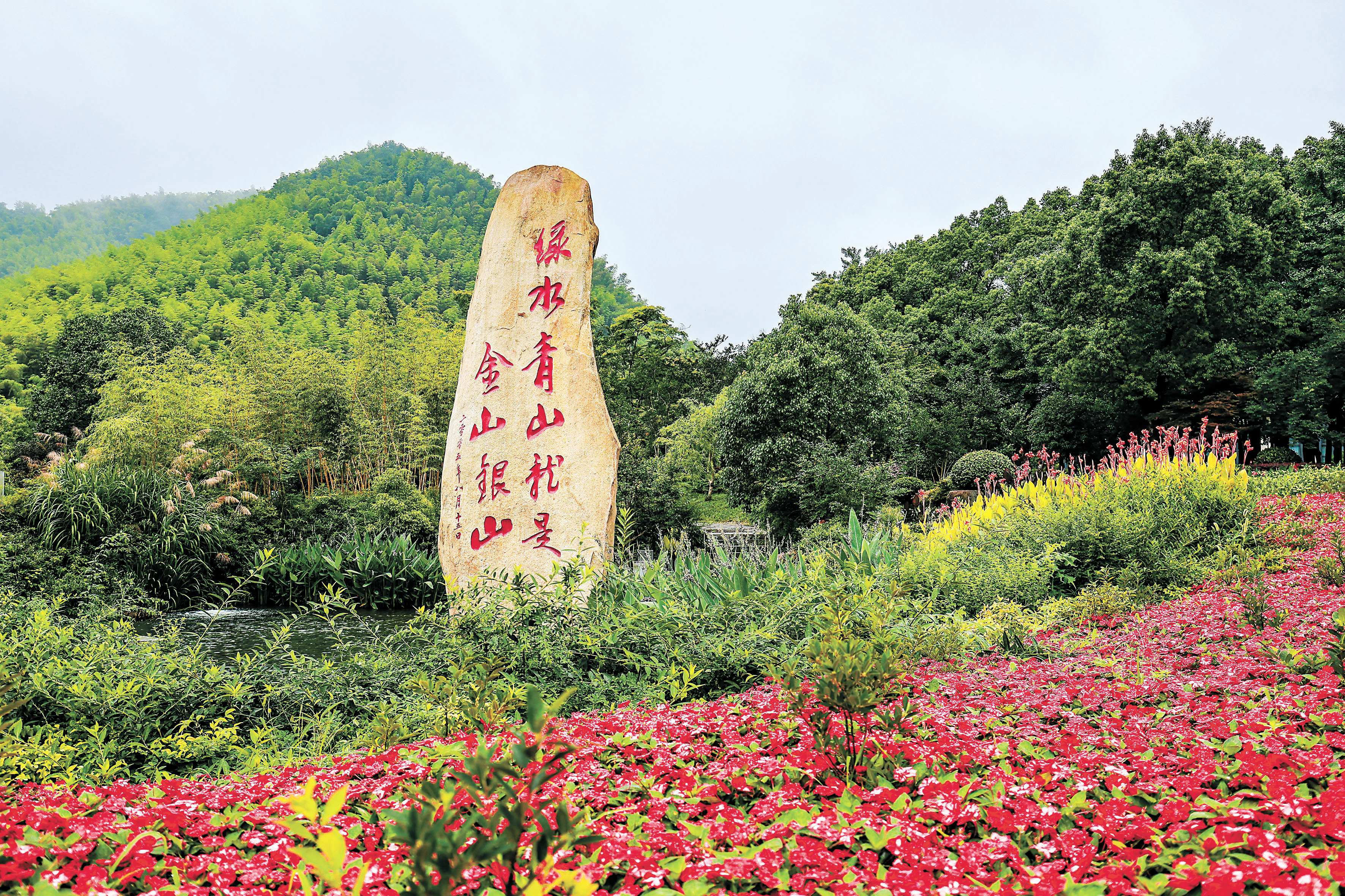 UFC下注平台
