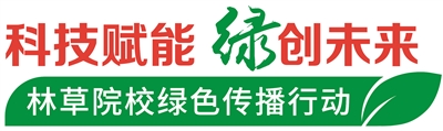 UFC下注平台