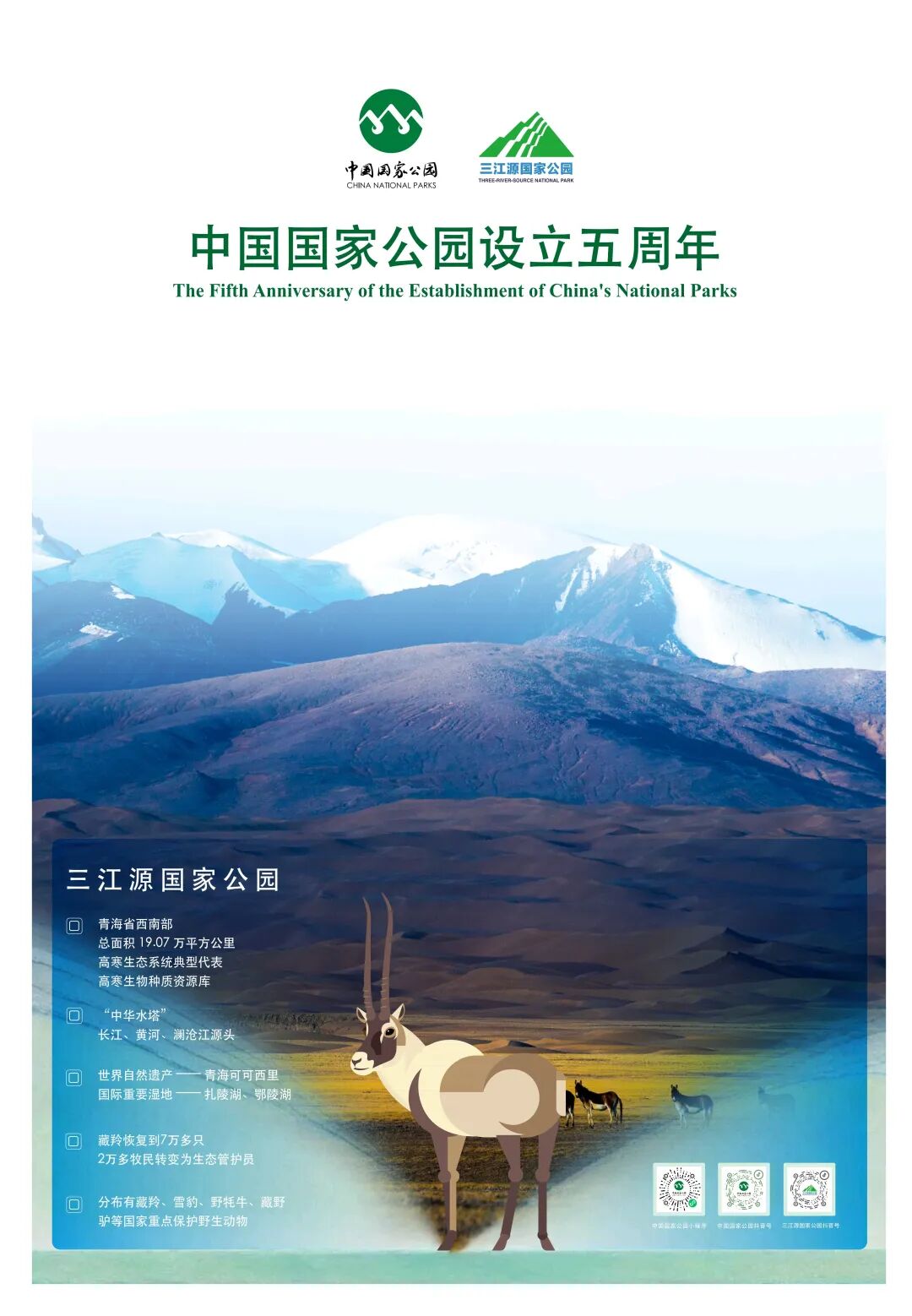 UFC下注平台
