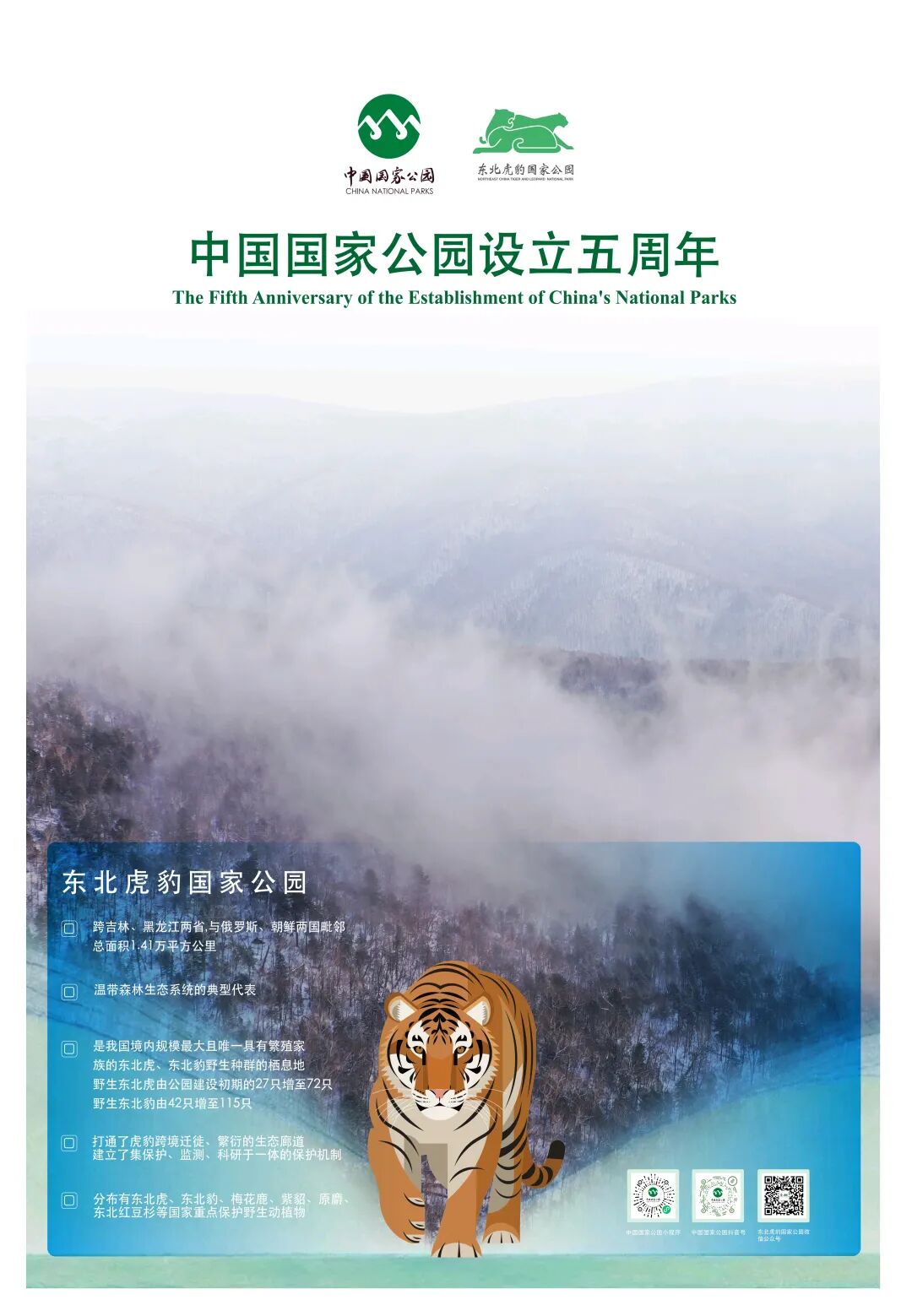 UFC下注平台