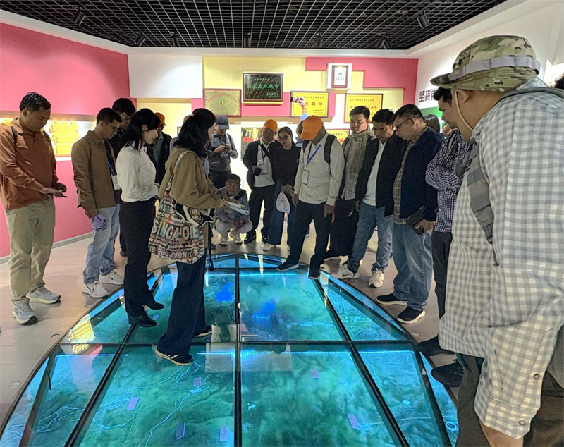 UFC下注平台