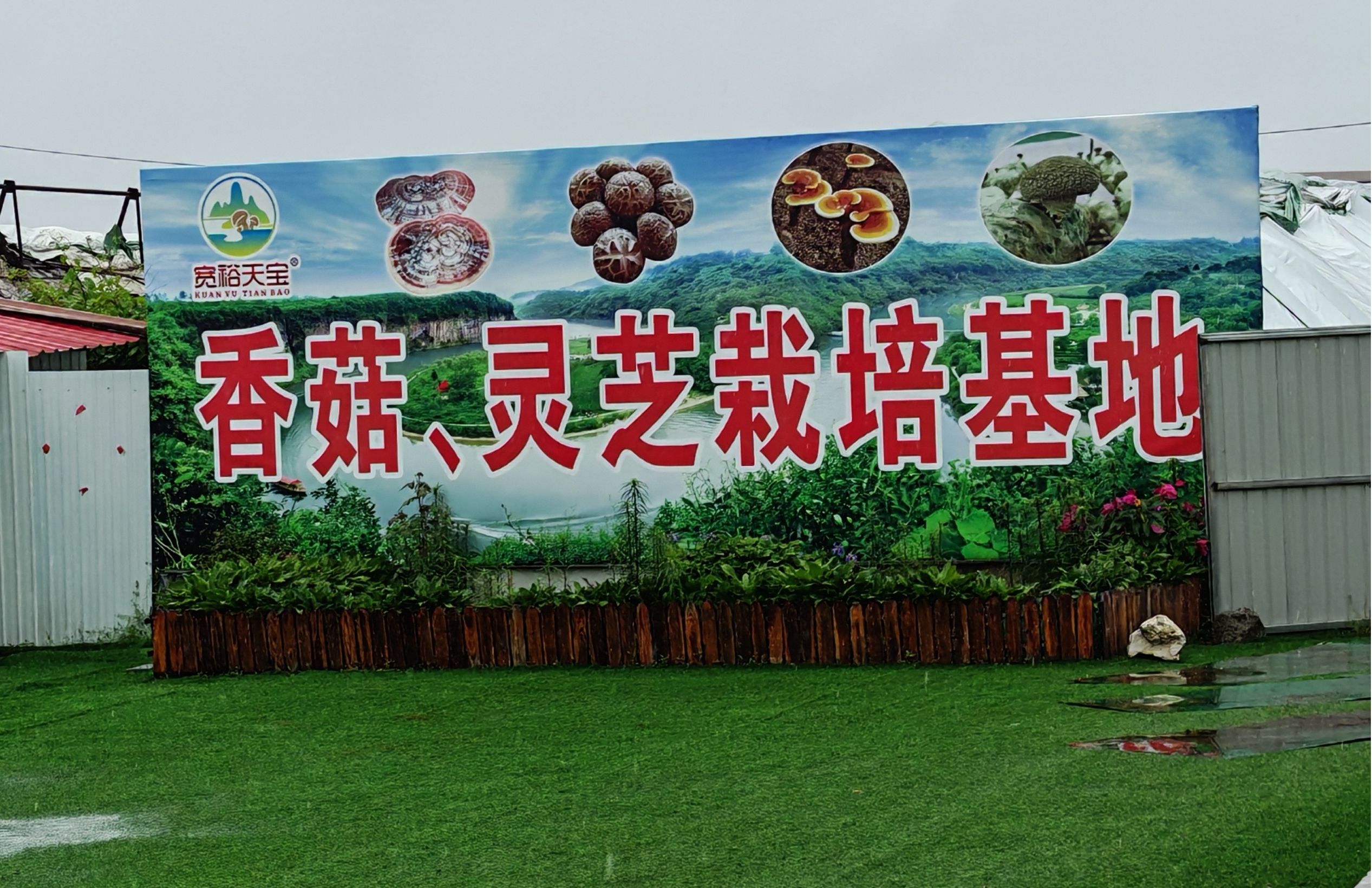 UFC下注平台