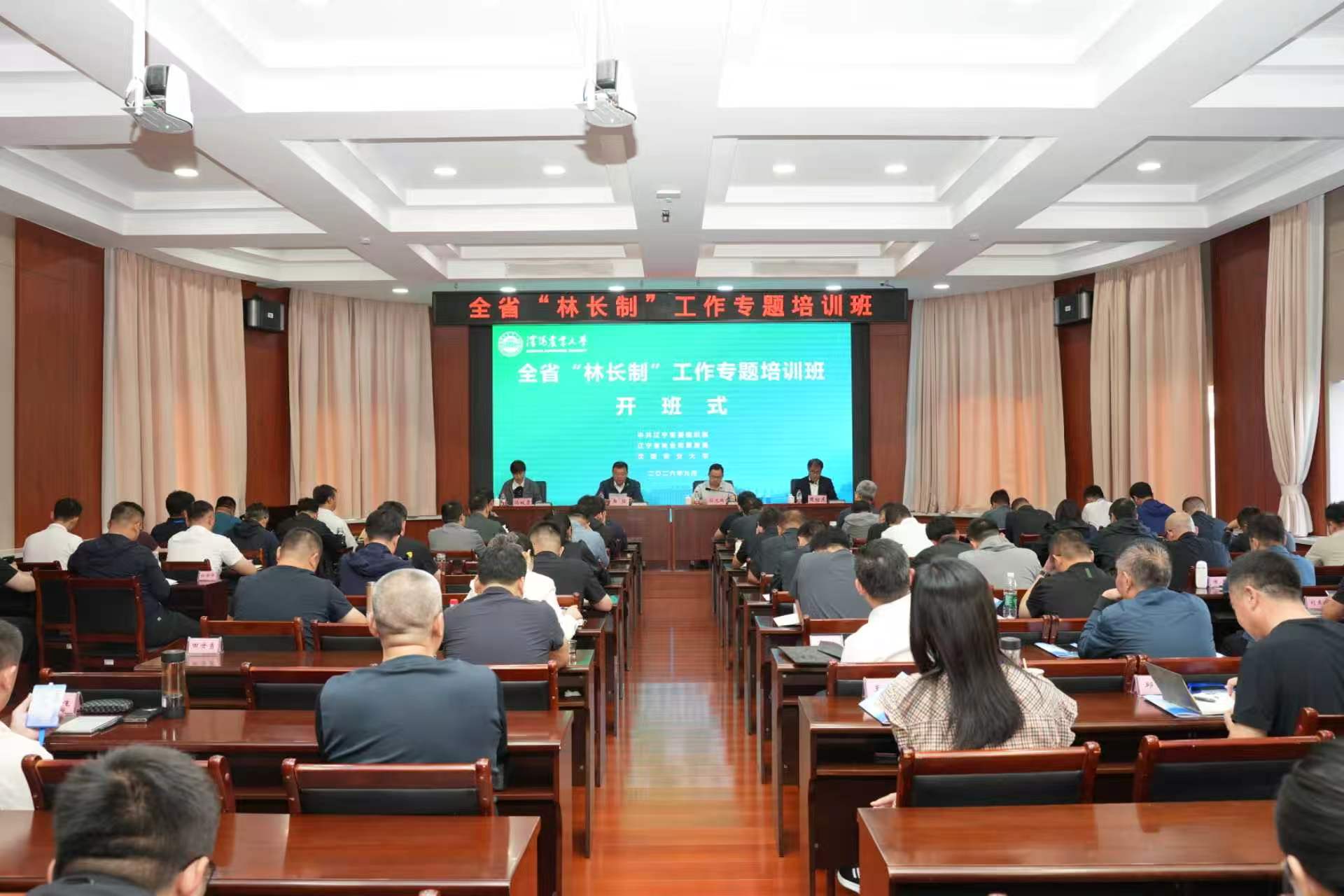 UFC下注平台