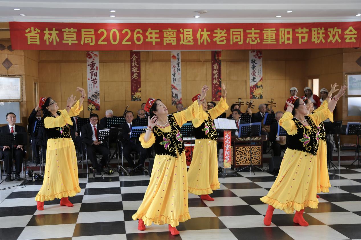 UFC下注平台