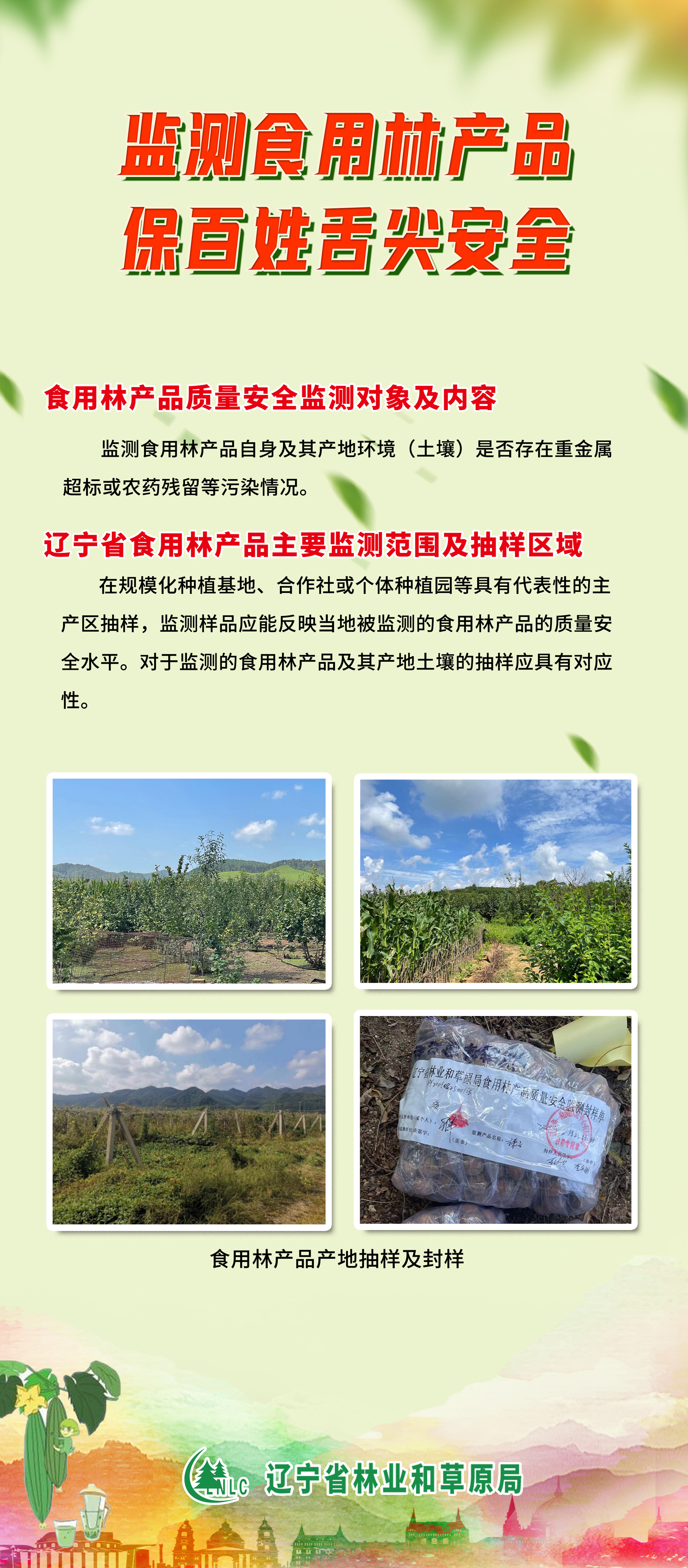UFC下注平台